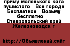 приму маленького кота пушистого - Все города Бесплатное » Возьму бесплатно   . Ставропольский край,Железноводск г.